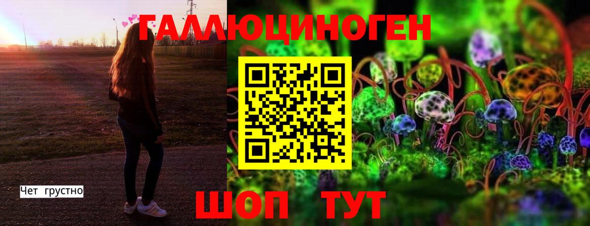 Псилоцибиновые грибы мицелий Добрянка