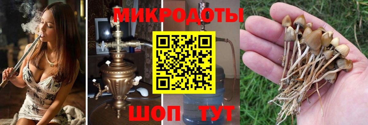 Галлюциногенные грибы мухоморы  Вход с VPN  Галлюциногенные грибы GOLDEN TEACHER  Добрянка 
